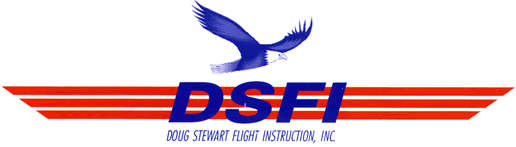 DSFI, Inc.